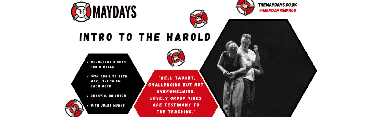 Intro to The Harold