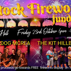 Mad Dog Mcrea + The Kit Hillbillies (Calstock Firework Fundraiser)