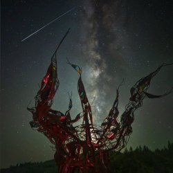 10th Annual Perseids Meteor Shower Campout 2026
