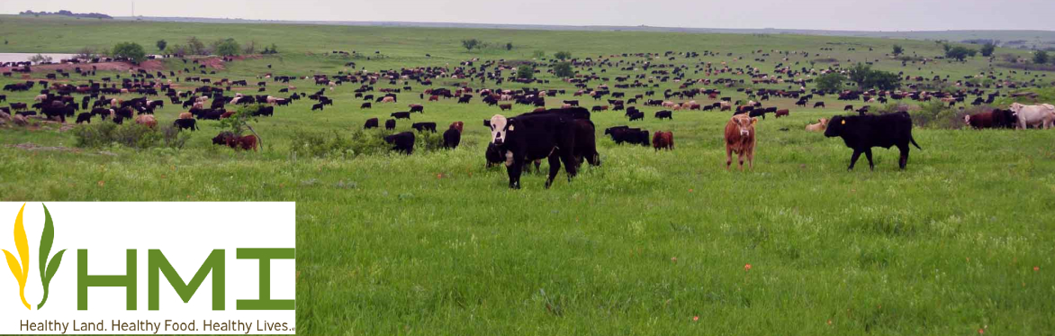 Key Principles for Regenerative Ag Success