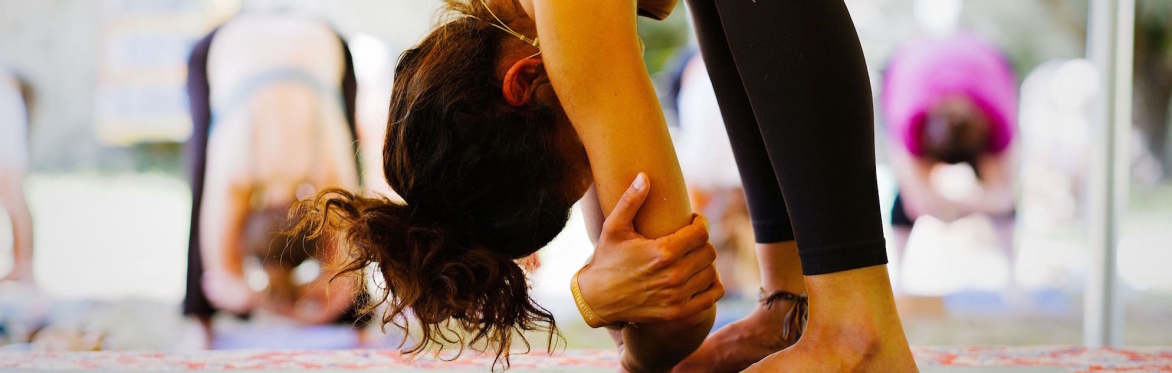 Conscious Sanctuary Celebration