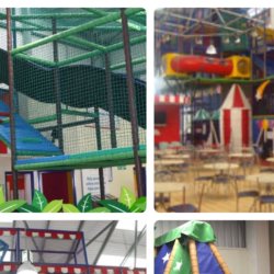 Monkey madness Basildon private hire