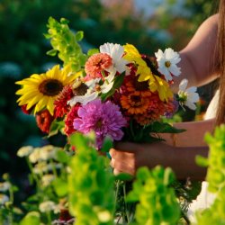 Sunshine Blooms & Dinner