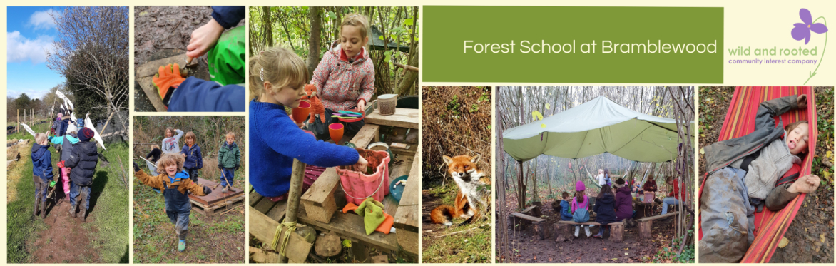 A Forest School taster session