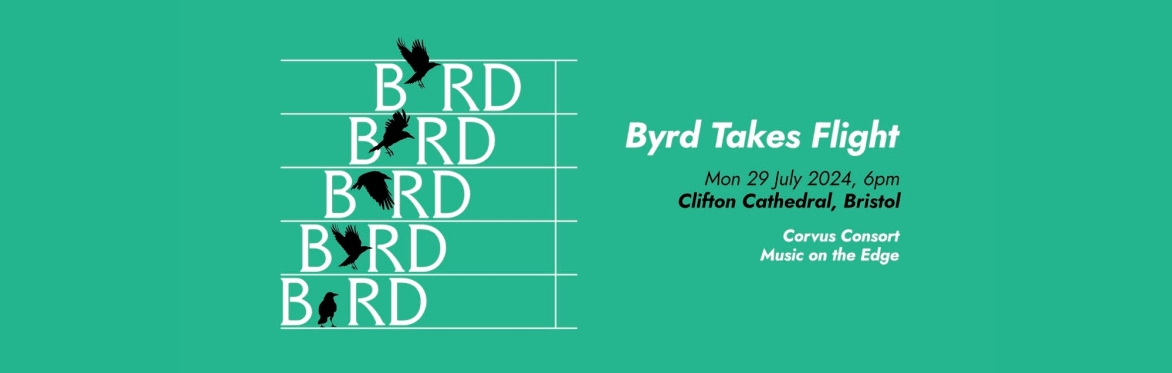 Byrd Takes Flight: Bristol