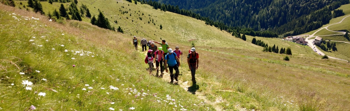 Gruppo di persone che camminano su un sentiero di montagna in salita