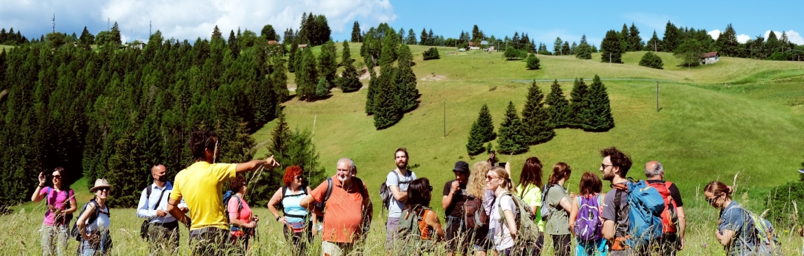 Gruppo di persone ferme ad ascoltare Luca Stefenelli. Sono in in montagna in una zona con erba alta