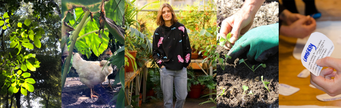 Introduction to Permaculture with Jess Austin