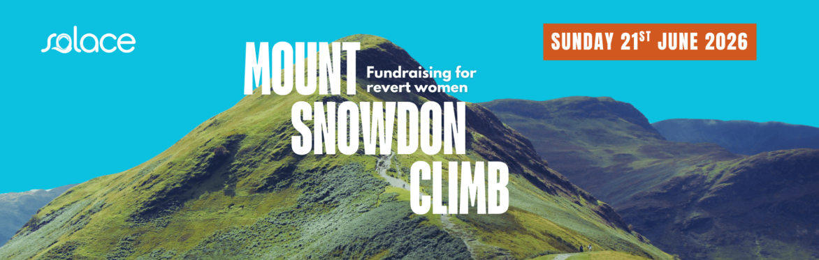Mount Snowdon