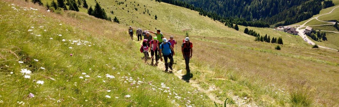 Gruppo di persone che camminano su un sentiero di montagna in salita