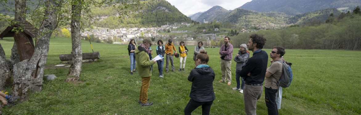 Gruppo di persone che ascoltano in cerchio l'attore Andrea Castelli. Si trovano in prato nell'Arboreto del Tesino e sullo sfondo si vedono montagne e il paese di Pieve Tesino