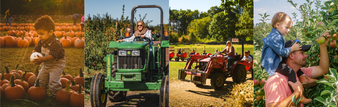 Fall Festival at The Big Red Barn
