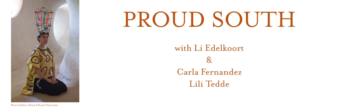 PROUD SOUTH Webinar