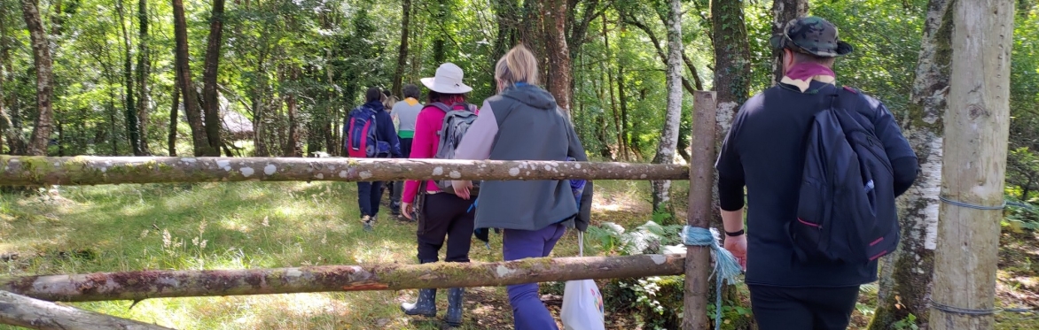 Foraging Walk and Talk at The Slieve Aughty Centre - High Summer