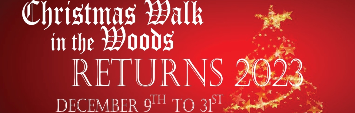 Christmas Walk in the Woods