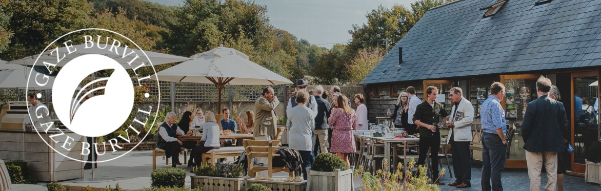 Gaze Burvill's RHS Chelsea Preview in support of Horatio's Garden