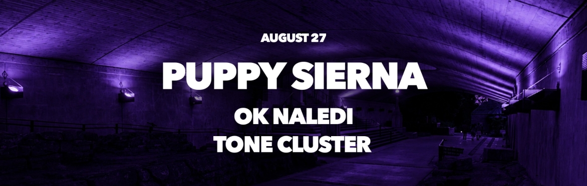 SoundScape Aug 27 ft. Puppy Sierna, OK Naledi, Tone Cluster (Free event)