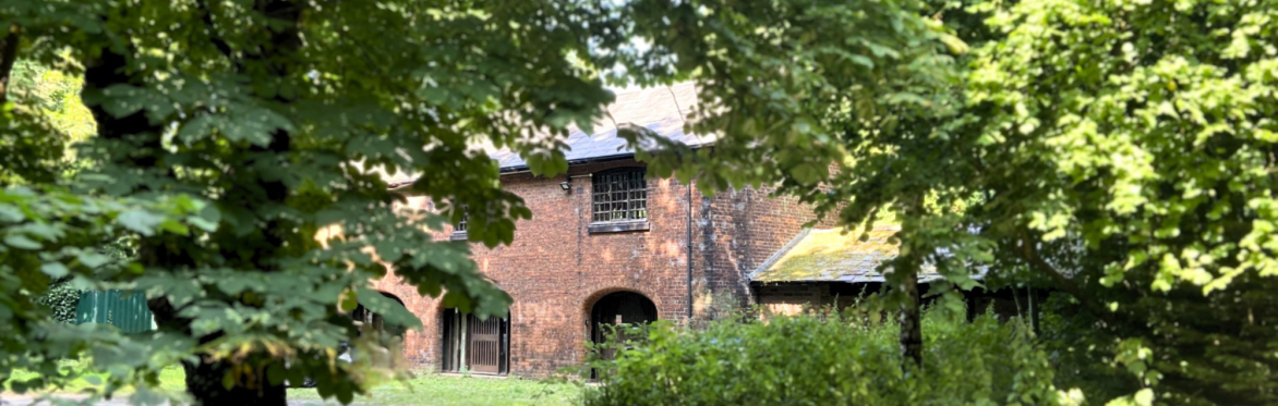 Meditation at the Coach House