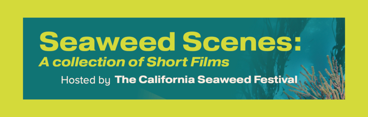 Seaweed Scenes - Short Films & Panel in Monterey