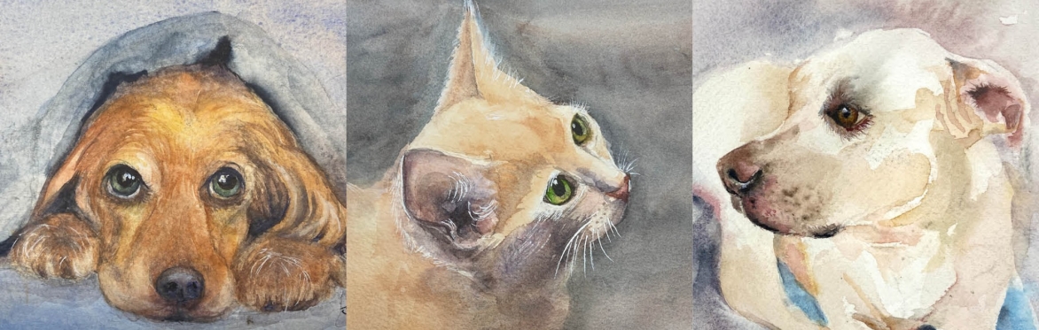 Pet Portraits in Watercolour