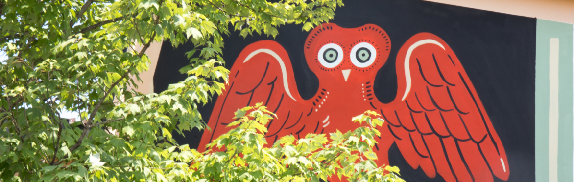 Street Art Tour in bicicletta