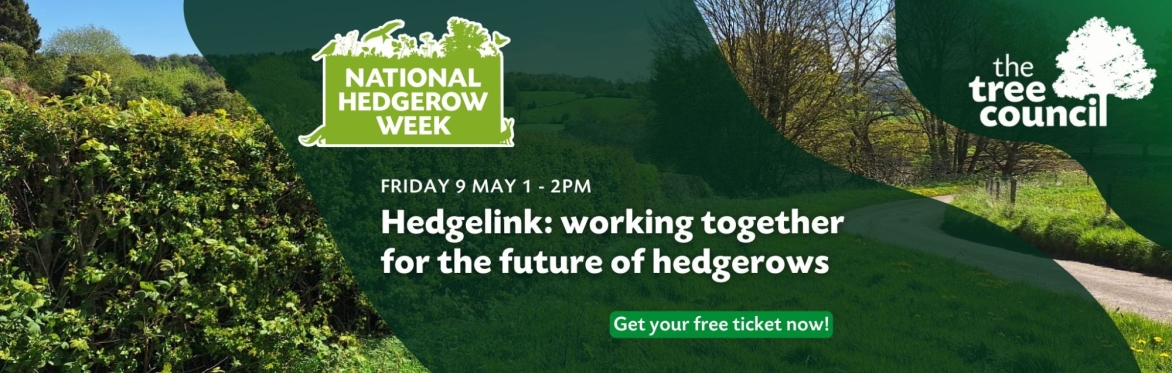 Hedgelink: working together for the future of hedgerows