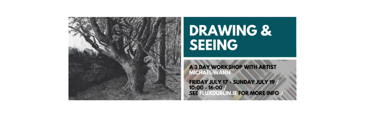 Drawing and Seeing // A 3 Day Workshop with Artist Michael Wann