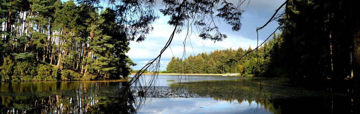 Beecraigs Country Park Walk (Dogs Welcome) - Free