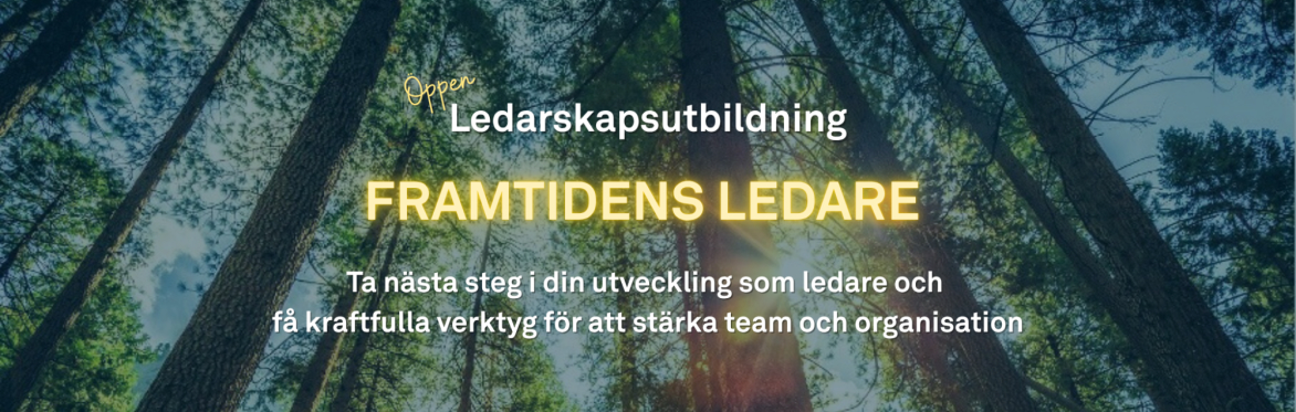 Ledarskapsutbildning: Framtidens ledare - Intresseanmälan