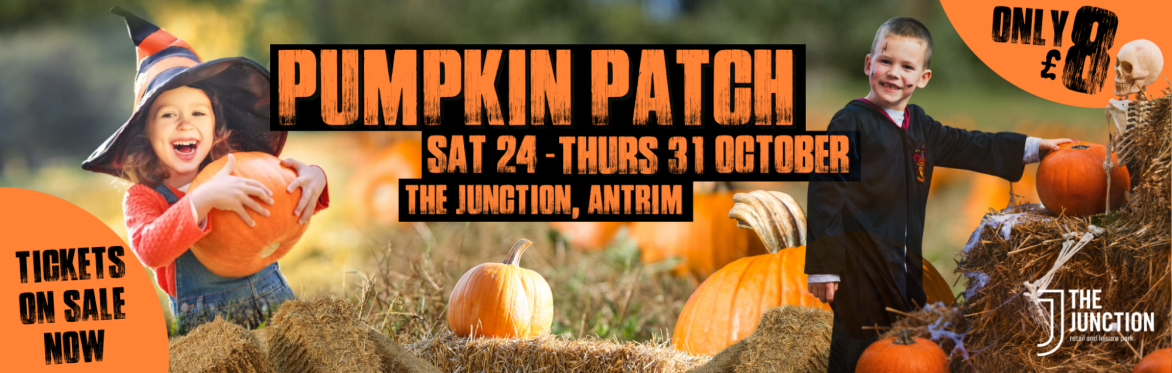 Pumpkin Patch