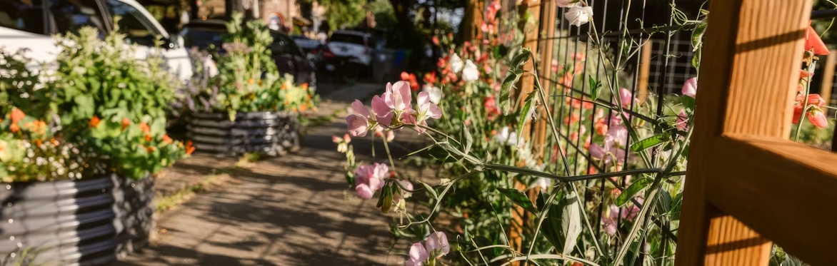 Nostrana Garden