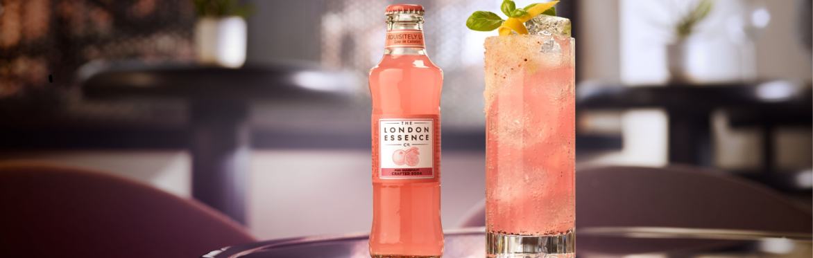 The Art of the Paloma