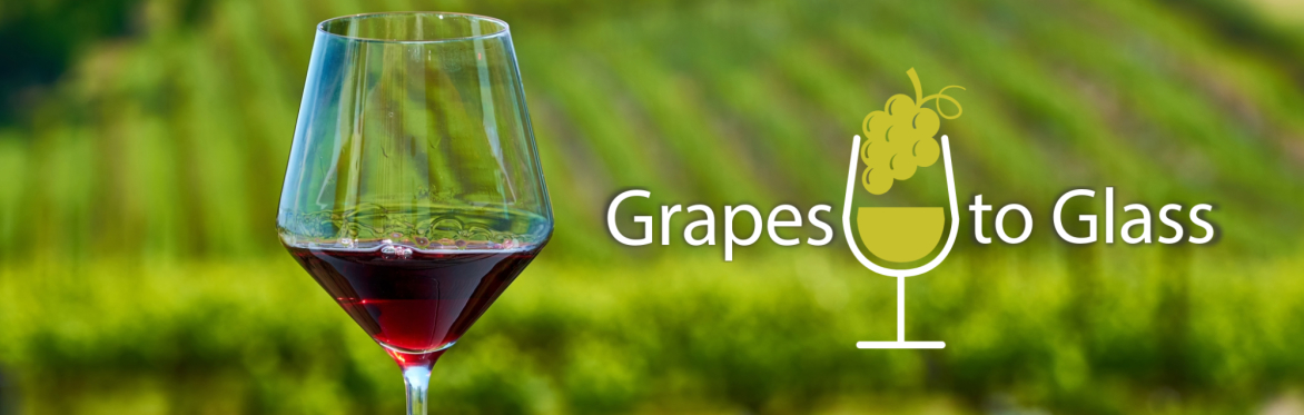 Grapes to Glass: The More You Pinot