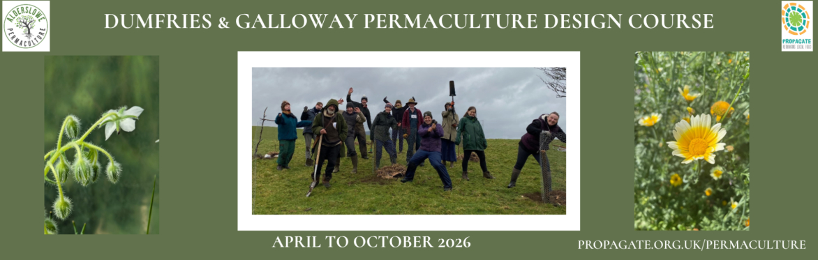 Permaculture Design Course 2026: DUMFRIES & GALLOWAY - 6 months course