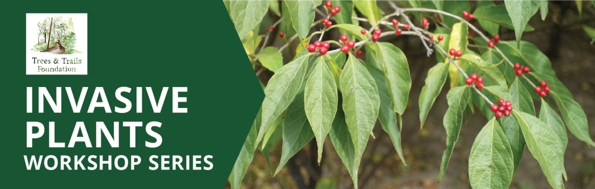Invasive Plants Workshop Series