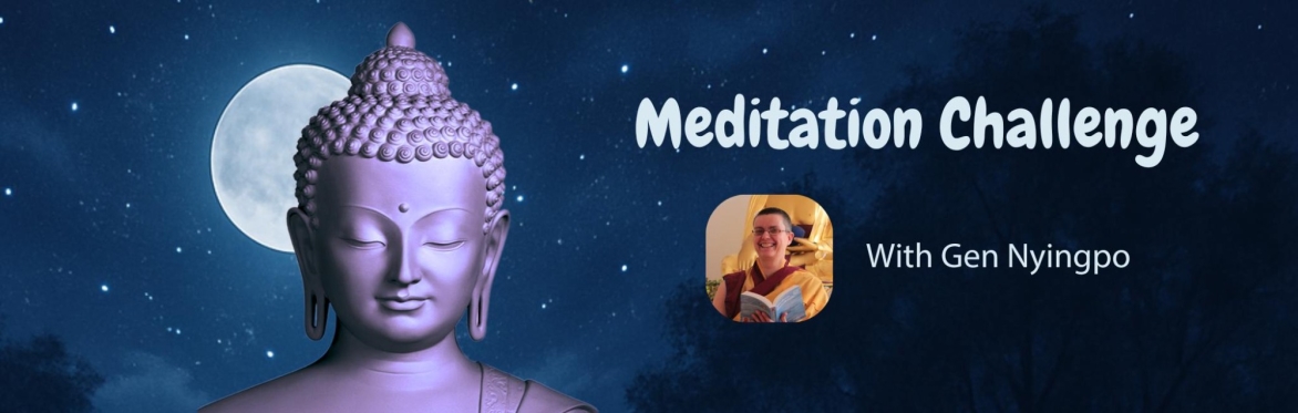 Meditation Challenge