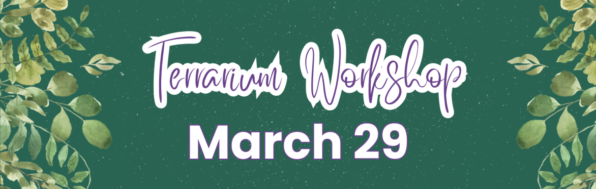 Build Your Own Terrarium Workshop