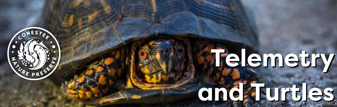 Buy Tickets – Telemetry and Turtles – Shortleaf Shelter