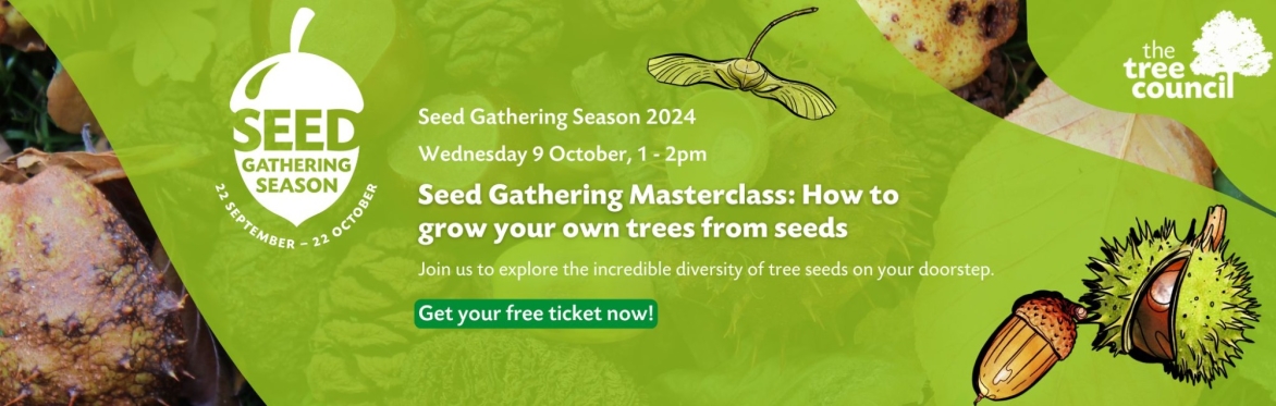 Seed Gathering Masterclass: How to grow your own trees from seeds