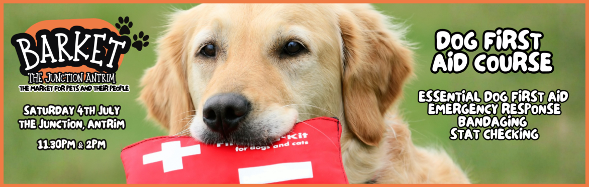Dog First Aid Course