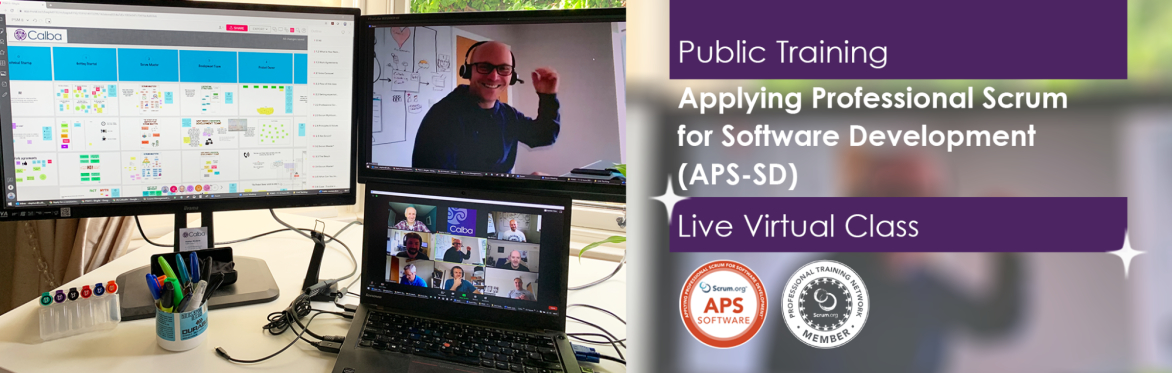 Applying Professional Scrum for Software Development (APS-SD)