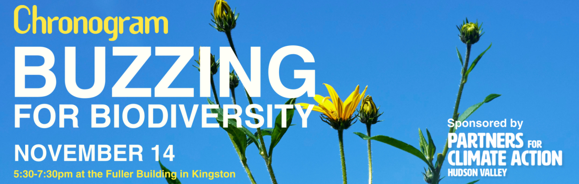 Buzzing for Biodiversity: Protecting Hudson Valley Pollinators