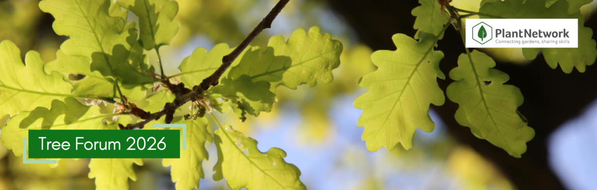 Tree Forum 2026