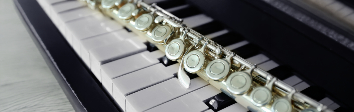 LeAltreNote: Doniamo cultura - Concerto per AIDO