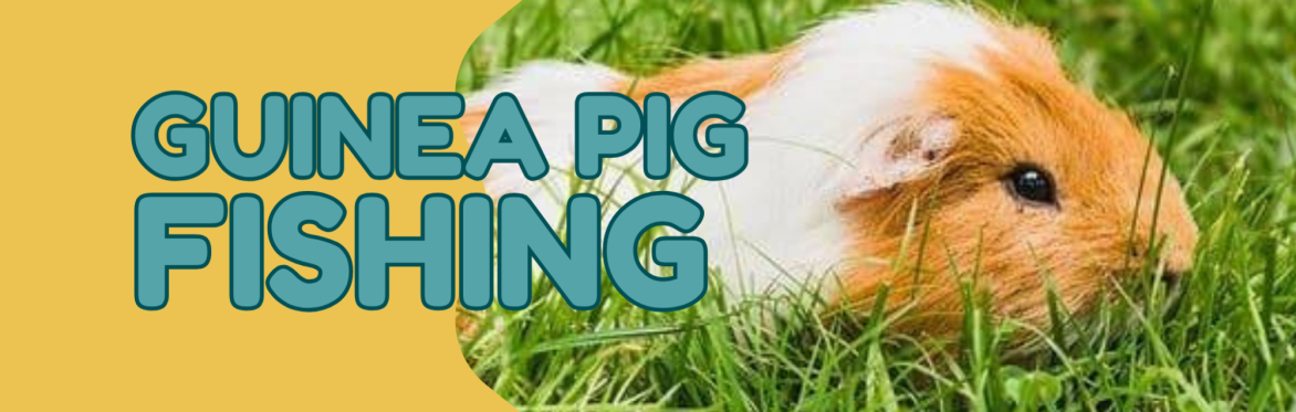 Guinea Pig Fishing!