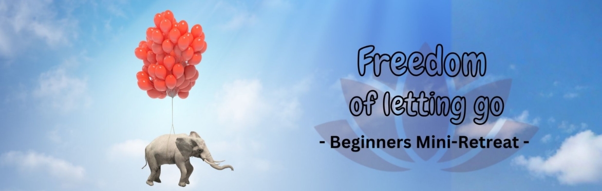 Freedom of letting go