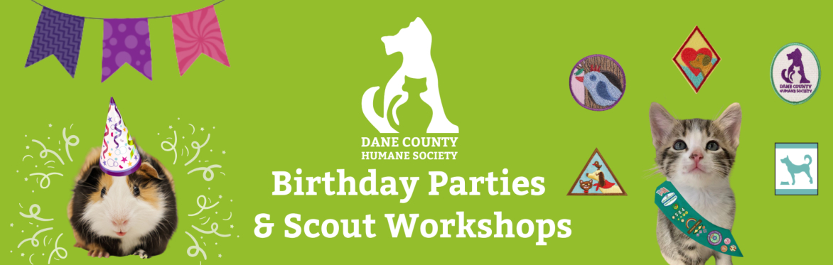 Birthday Parties and Scout Workshops