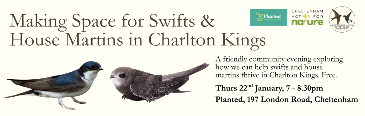 Making Space for Swifts and House Martins in Charlton Kings