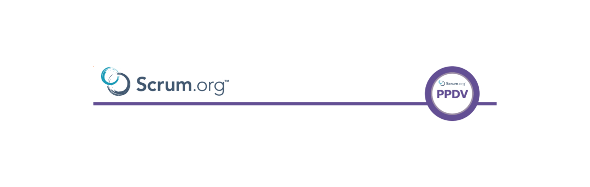 Professional Product Discovery and Validation Schulung mit PPDV-Zertifikat