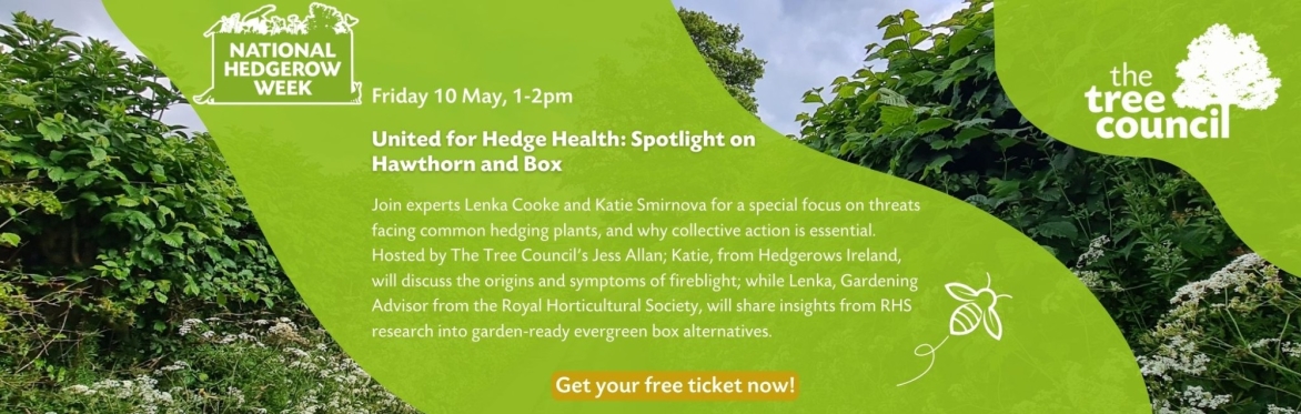 United for Hedge Health: Spotlight on Hawthorn and Box